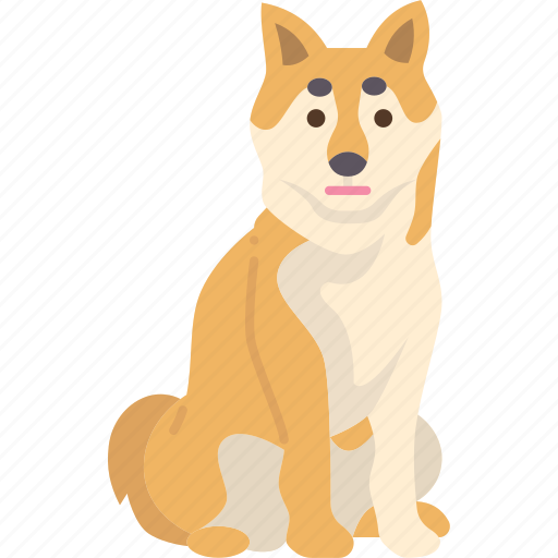 Shiba, dog, pet, breed, animal icon - Download on Iconfinder