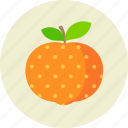 citrus, food, mandarine