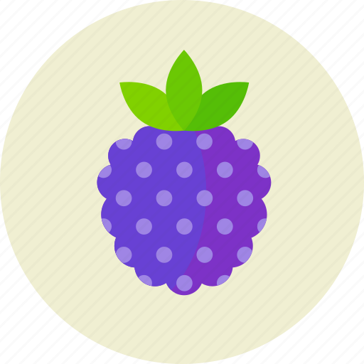 Berry, food, raspberry icon - Download on Iconfinder