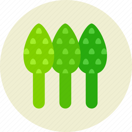 Asparagus, food, sparrowgrass icon - Download on Iconfinder