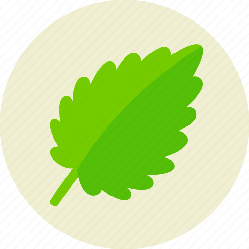 Herb, leaf, mint icon - Download on Iconfinder on Iconfinder