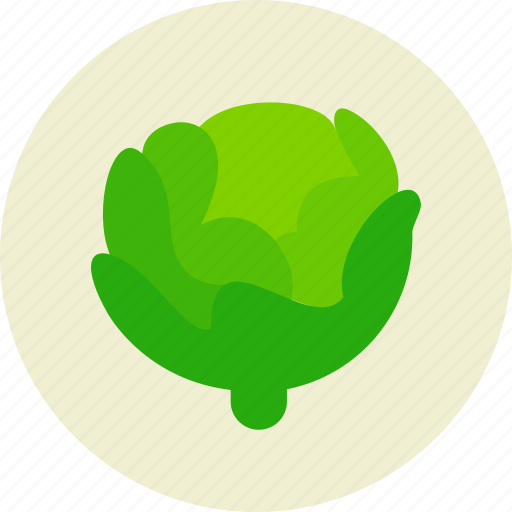 Cabbage, food, salad icon - Download on Iconfinder
