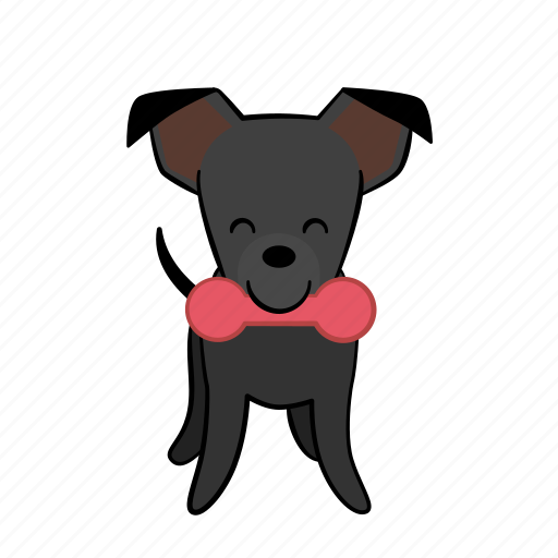 Dog, happy, joijoi, playing, puppy, toy icon - Download on Iconfinder
