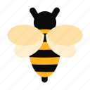 bee, insect, forest, jungle
