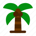 coconut, tree, forest, jungle