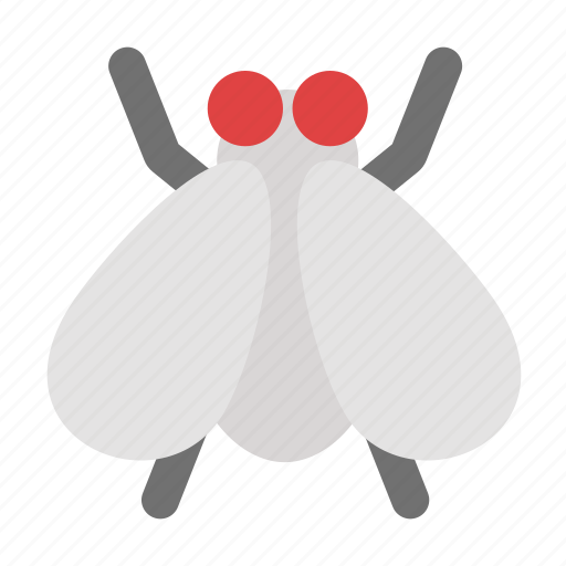 Fly, insect, forest, jungle icon - Download on Iconfinder