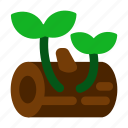 grow, plant, forest, jungle