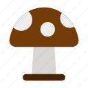 mushroom, plant, forest, jungle