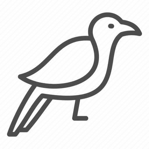 Crow, bird, wildlife, corvus, animal, black, wild icon - Download on Iconfinder