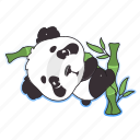 kawaii, panda, bear, bamboo, branch 