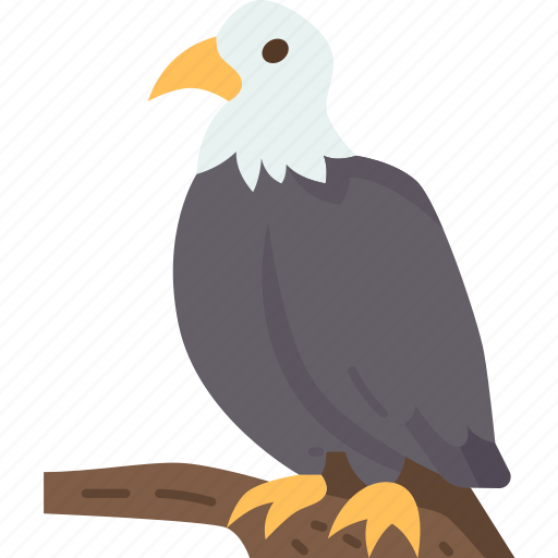 Eagle, bird, wildlife, animal, hunter icon - Download on Iconfinder