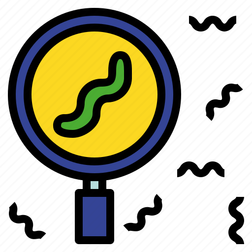 Definite, exact, glass, magnifying, specific, worm icon - Download on Iconfinder