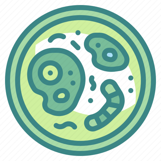 Bacteria, bacterium, biology, cell, lab, scientist, virus icon - Download on Iconfinder