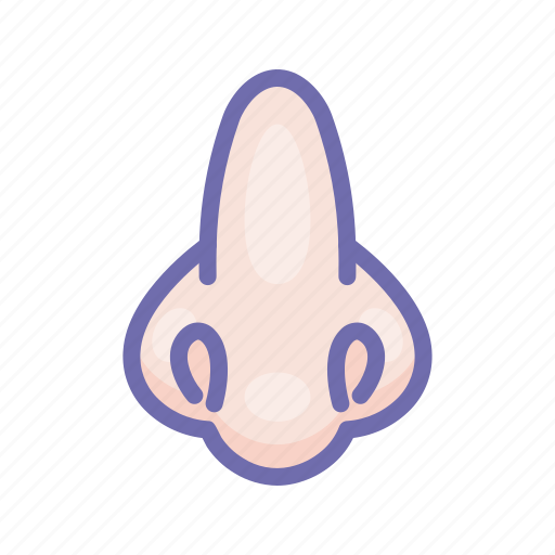 Anatomy, nose, smell icon - Download on Iconfinder