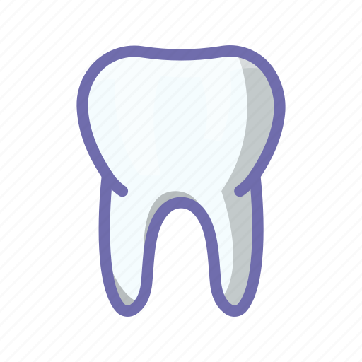 Anatomy, biology, tooth icon - Download on Iconfinder