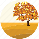 autumn tree, environment, landforms, nature, tree