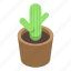abstract, business, cactus, cartoon, flower, isometric, pot 