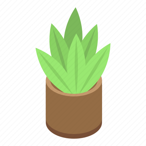 Cartoon, floral, flower, isometric, plant, pot, succulent icon - Download on Iconfinder