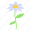 cartoon, chamomile, floral, flower, hand, isometric, water 