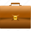 case, career, job, briefcase, valise, suitcase, purse, satchel, bag, portmanteau, handbag, pouch, trunk 