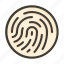fingerprint, security, biometric, scan, identity 