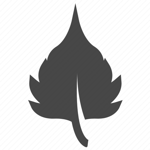 Eco, leaf, leaves, nature icon - Download on Iconfinder