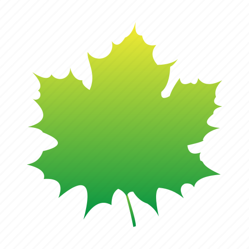 Grape, green, leaf, leaves, plants, set, yellow icon - Download on Iconfinder