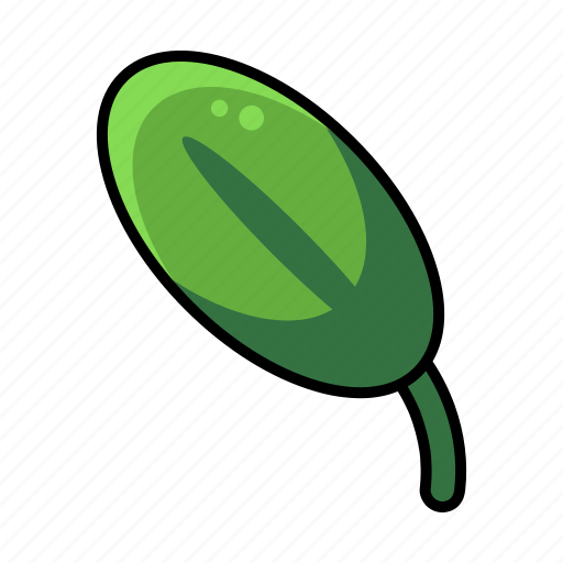 Garden, green, leaf, leaves, natural, nature, plant icon - Download on Iconfinder