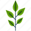 alternate, forest, leaf, park, shape, tree 