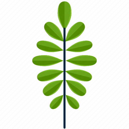Forest, leaf, nature, opposite, park, shape, tree icon - Download on Iconfinder