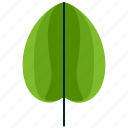 forest, leaf, park, round, shape, tree