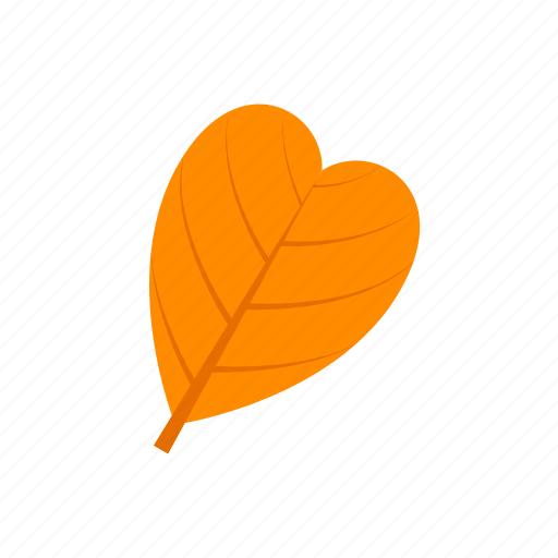 Abcordate, autumn, leaf, orange icon - Download on Iconfinder