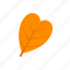 abcordate, autumn, leaf, orange 