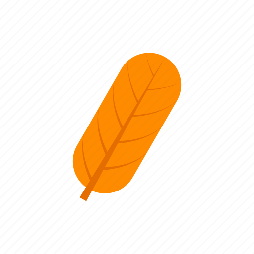 Autumn, leaf, oblong, orange icon - Download on Iconfinder