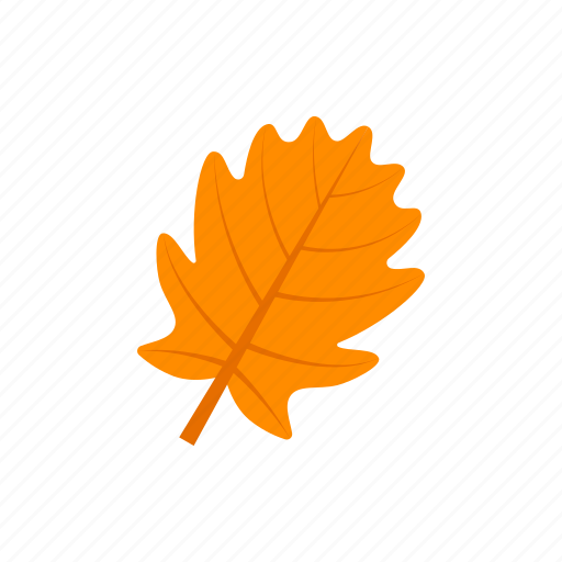 Autumn, leaf, orange, pinnatifid icon - Download on Iconfinder