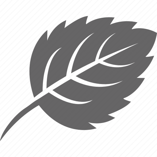 Leaf, nature, branch, organic, flower, plant, ecology icon - Download on Iconfinder