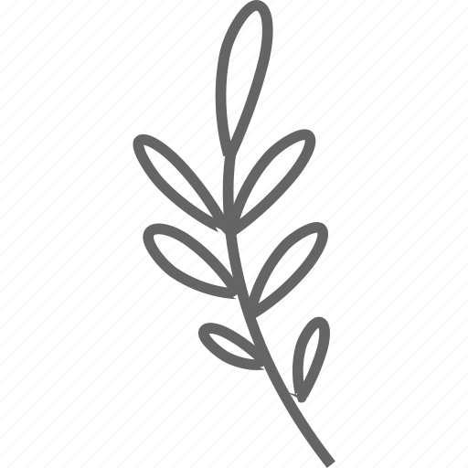 Leaves, nature, branch, organic, flower, plant, ecology icon - Download on Iconfinder