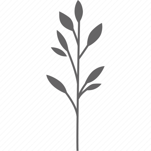 Leaves, nature, branch, organic, flower, plant, ecology icon - Download on Iconfinder