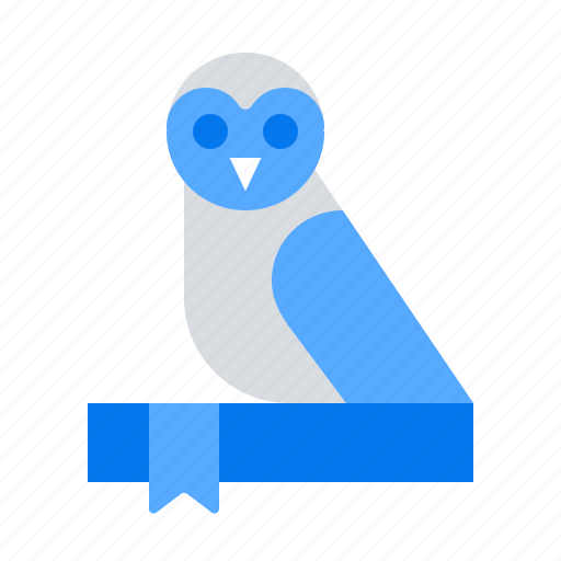 Knowledge, owl, wisdom icon - Download on Iconfinder