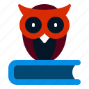 owl, library, animal, education, learning, study, student, school, book