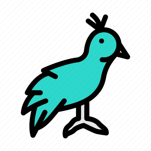 Bird, parrot, forest, wild, life icon - Download on Iconfinder