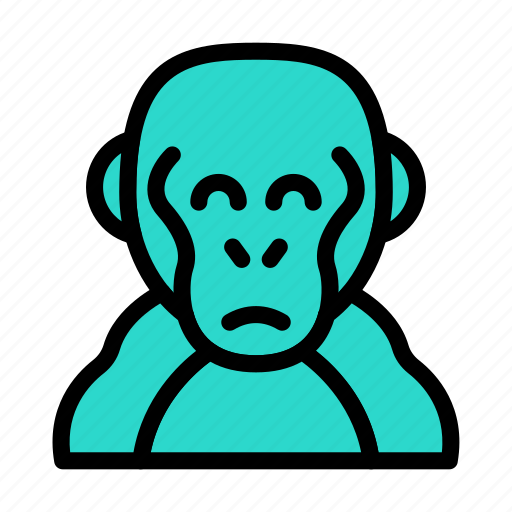 Monkey, apes, forest, wild, jungle icon - Download on Iconfinder