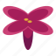 cartoon, floral, flower, isometric, lilac, open, red 
