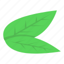 cartoon, computer, flower, isometric, leafs, lime, silhouette