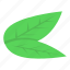 cartoon, computer, flower, isometric, leafs, lime, silhouette 