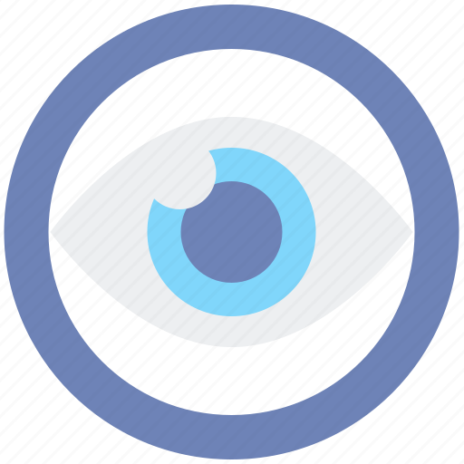 Viewers, blue, eye, vision icon - Download on Iconfinder