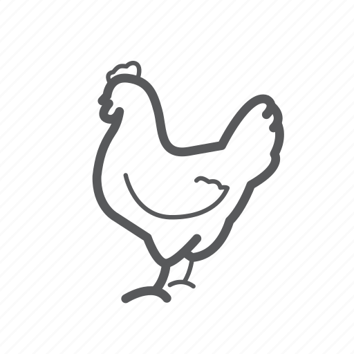 Chicken, fowl, hen, poultry icon - Download on Iconfinder
