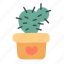 cactus, plant, pot, decoration, gift 