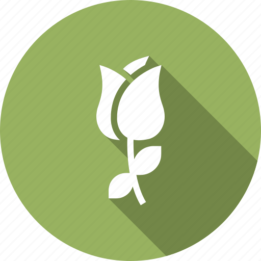 Dsy, floral, flower, nature icon - Download on Iconfinder