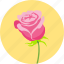 rose, flower, love, romantic, valentine, floral, valentine&#x27;s 